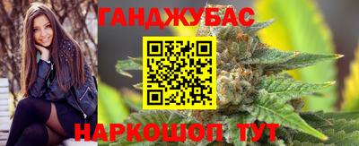 хмурый Сланцы