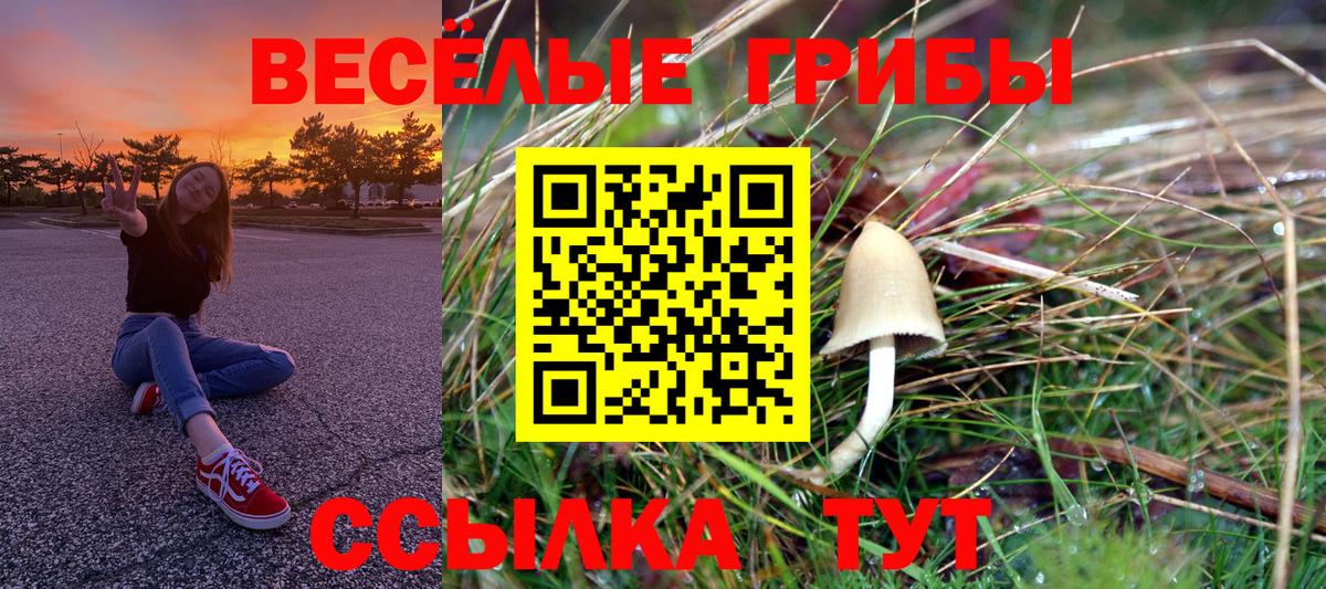 Псилоцибиновые грибы Cubensis  Галлюциногенные грибы прущие грибы  Новошахтинск  Вход с VPN 