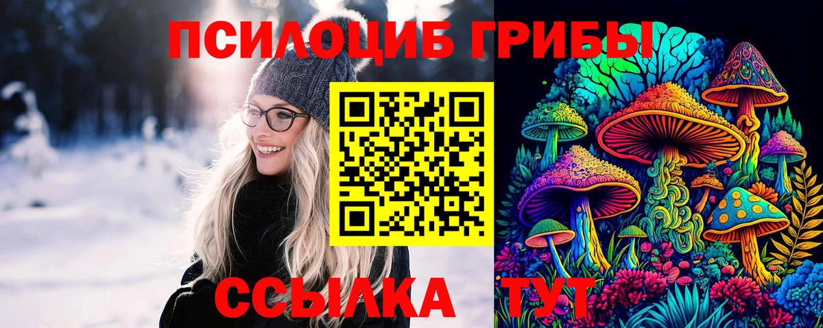 Псилоцибиновые грибы ЛСД Новошахтинск